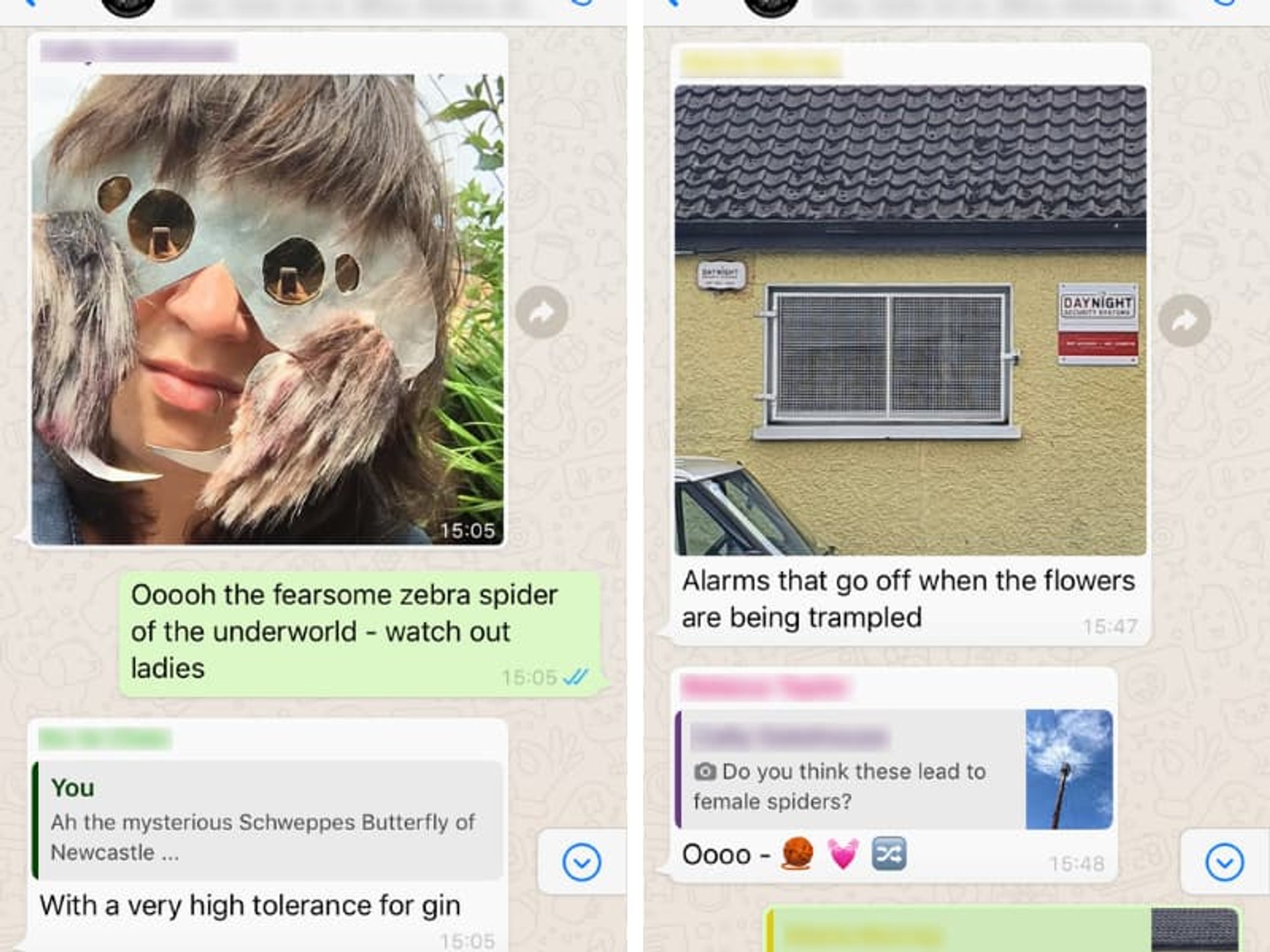 The jumping zebra spider (pictured left) looked for web structures within their neighbourhood data networks as a platform to search for a mate. The wildflower meadow (message pictured right) found an alarm on a local building and wanted to use this to alert people when they trampled on the flowers.