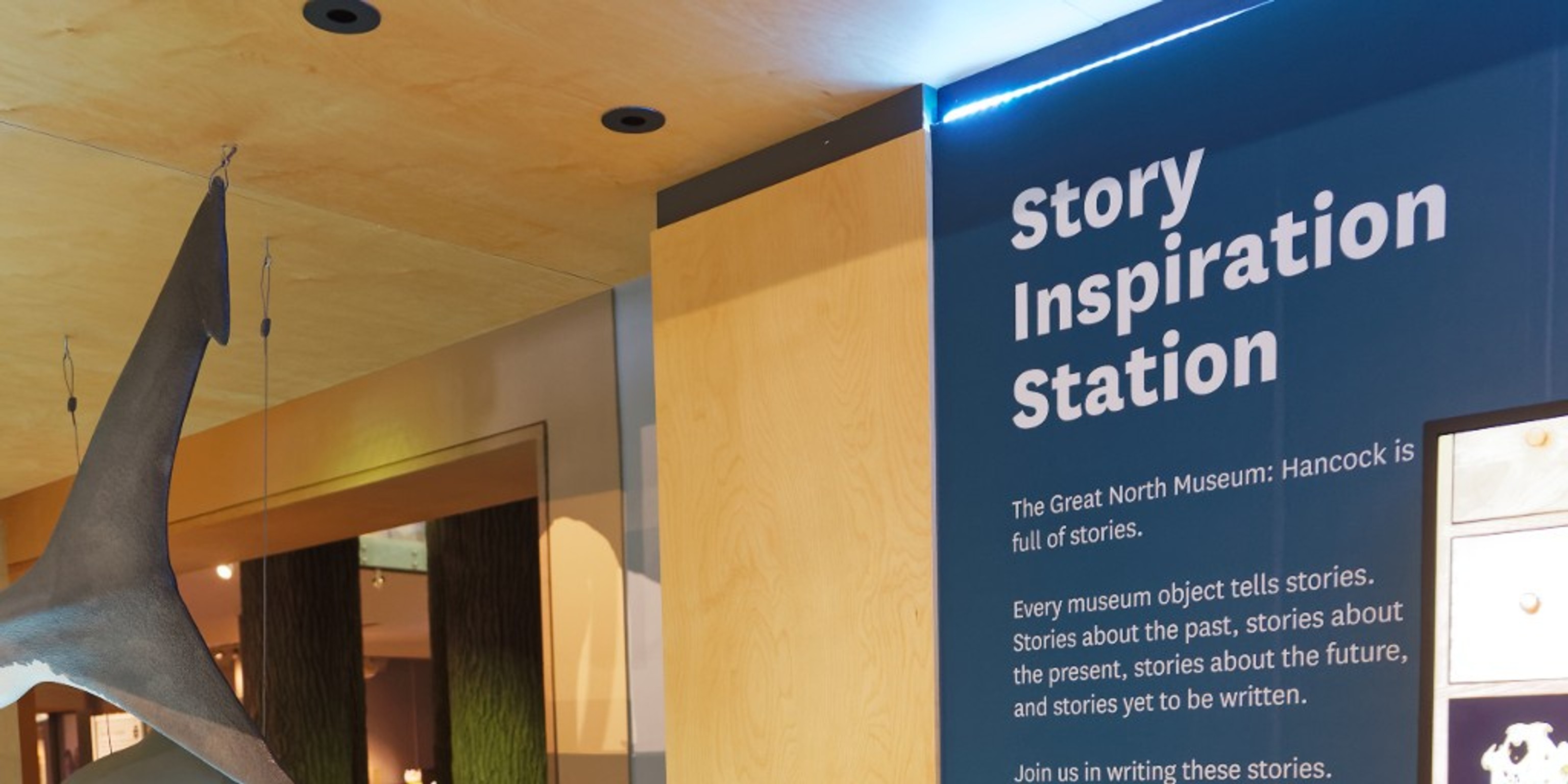 Story Inspiration Station: tell your story at the Great North Museum